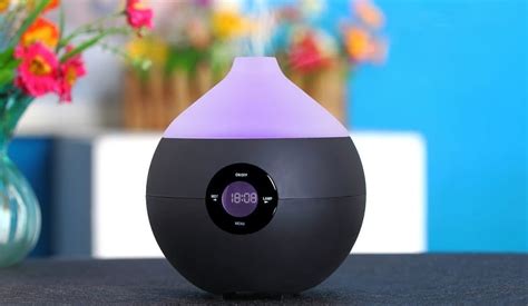 5 Best Steam Humidifiers Reviewed in Detail (Winter 2024)