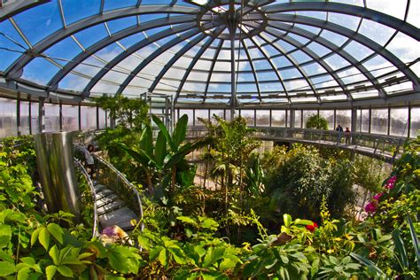 Sunderland Museum. The Winter Gardens. | See: www.twmuseums.… | Flickr