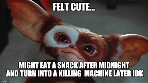 Gizmo Gremlins Meme