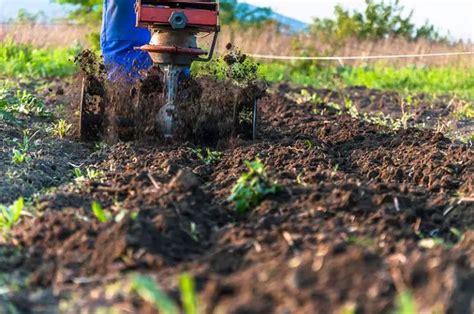 Tilling Soil: What is Tilling and How to Till Soil Step-by-Step