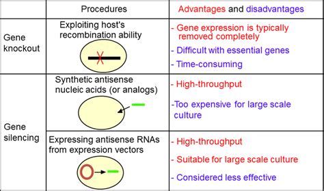 Summary of gene knockout and gene silencing. | Download Scientific Diagram