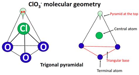 ClO3- lewis structure, molecular geometry, bond angle, hybridization