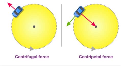 Centrifugal Centripetal Forces Acejee Blog | Hot Sex Picture