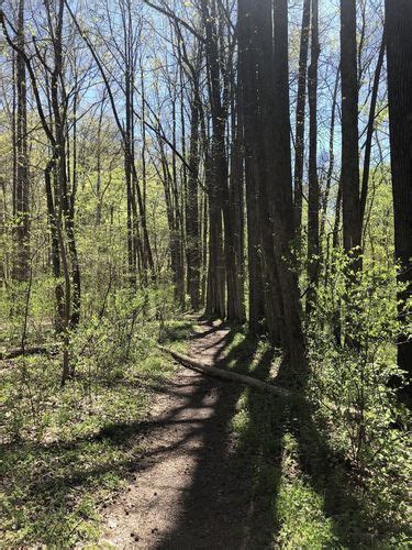 Photos of Dr. Edmund A. Babler Memorial State Park Trails - Missouri ...