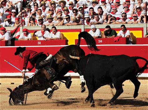 Bull Fighting: Bull Fighting In Spain