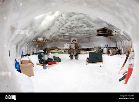 A young inuit sits on a bed in an igloo, surrounded by other necessary items to survive in the ...