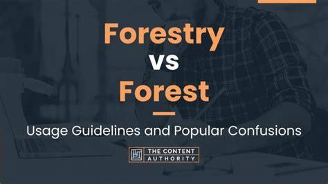 Forestry vs Forest: Usage Guidelines and Popular Confusions