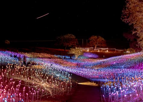 Field Of Lights Paso Robles - Draw-e