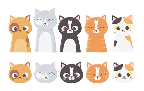 Assorted cats faces 1236930 Vector Art at Vecteezy