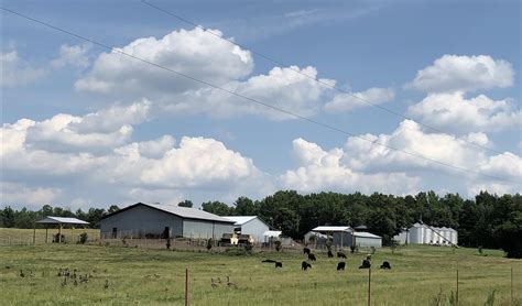 Richfield, NC Countryside : NorthCarolina