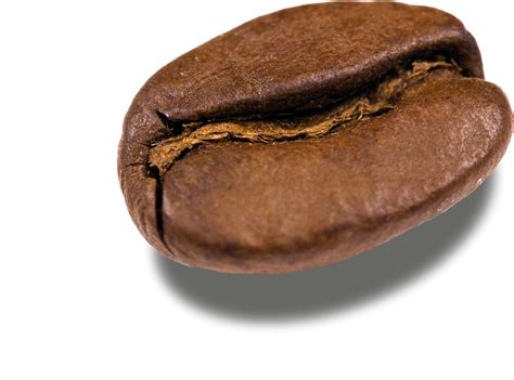 Coffee Bean Transparent Background