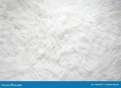 aceptar Empresario relajado fluffy carpet texture entusiasmo Comparar Permanentemente