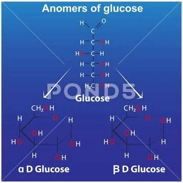 Anomers of glucose pyranose alpha d glucose and beta d glucose ...