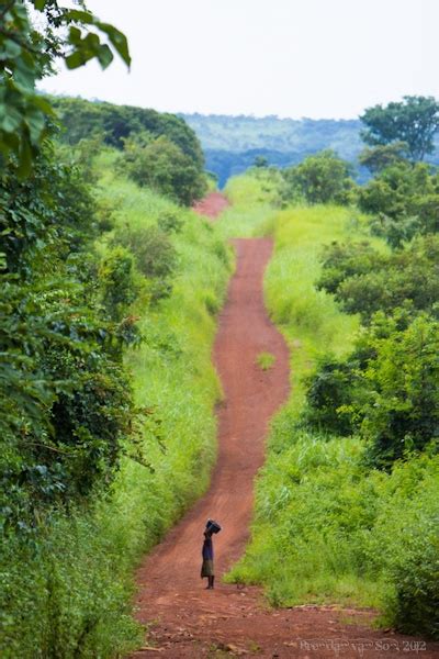 From Guinea to Cote d'Ivoire Overland