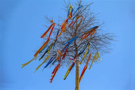 Maypole with Colored Ribbons Stock Image - Image of tree, custom: 117448835