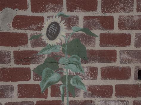 Hand Painted Flower On Brick Free Stock Photo - Public Domain Pictures