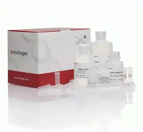 RNA Extraction Kit at Rs 36000/piece | Real Time Pcr Kits in Chennai ...