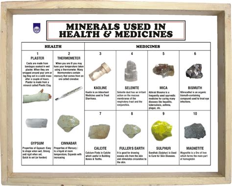 Minerals Used in Health & Medicine (Set of 10) at best price in Ambala