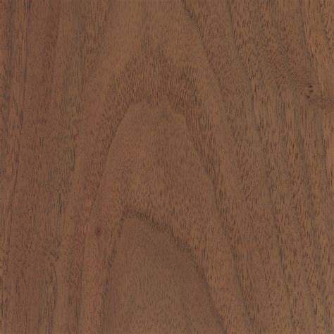 Black Walnut | The Wood Database - Lumber Identification (Hardwood)