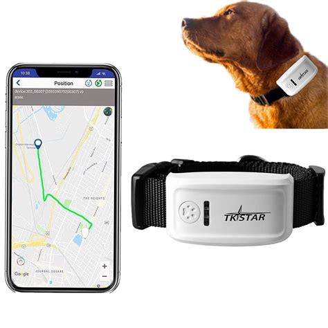 Can You Get A Gps Tracker For Your Dog