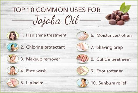 Jojoba Oil Uses: Top 10 Uses 3 DIY Recipes