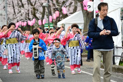 Cherry Blossom Festival : Fussa – UncleDoctor Vacation