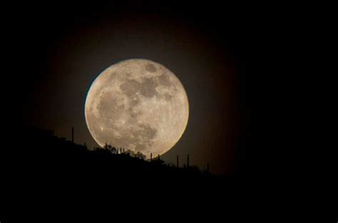 Dark night skies at Saguaro National Park are certifiable