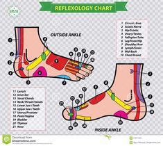 Reflexology - Large and in-depth chart | Reflexology foot chart, Reflexology chart, Foot reflexology