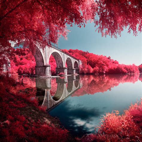 Infrared Lens Filter That Mimics the Look of Kodak Aerochrome Film