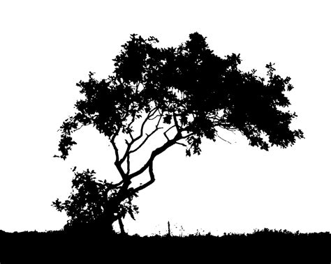 forest Silhouette | Wallpaper Trees Black And White | Printables | Forest silhouette, Black and ...