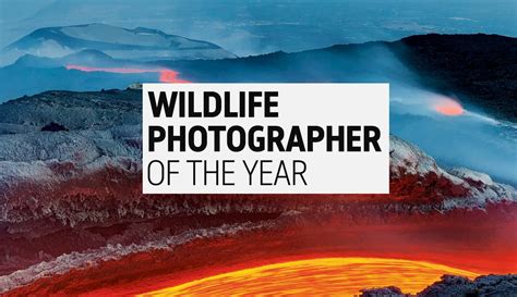 Wildlife Photographer of the Year 2023 | Photo Contest Calendar 2023