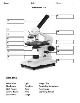 Microscope Quiz by Quick Witted Owl Lesson Plans Made Easy | TPT