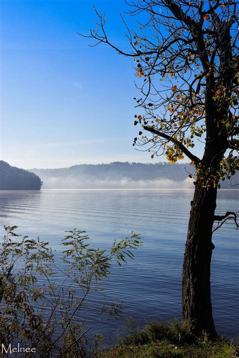 Is Tappan Lake Good for Fishing? - Trickyfish