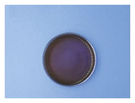 Bacterial count and identification (CFU/cm2, X¯±s, n = 7). (a) The ...