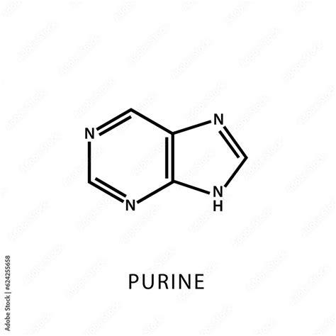 Purine Structure chemical formula types and properties Stock Vector ...