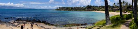 Napili Bay Snorkeling Guide