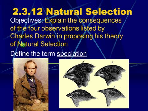 Natural Selection & Speciation | Teaching Resources