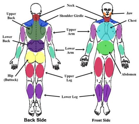 Fibromyalgia Pressure Point - Location and Pain Management