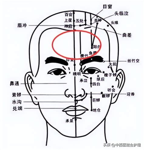 "Acupoint Health" has four acupuncture points on the hand, which can be very good for treating ...