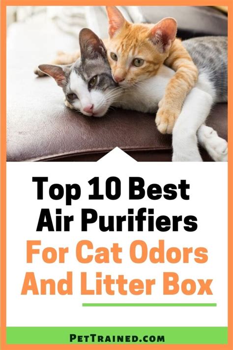 Best Air Purifier For Cat Litter Odor, Litter Box Dust & Smells - Pet ...