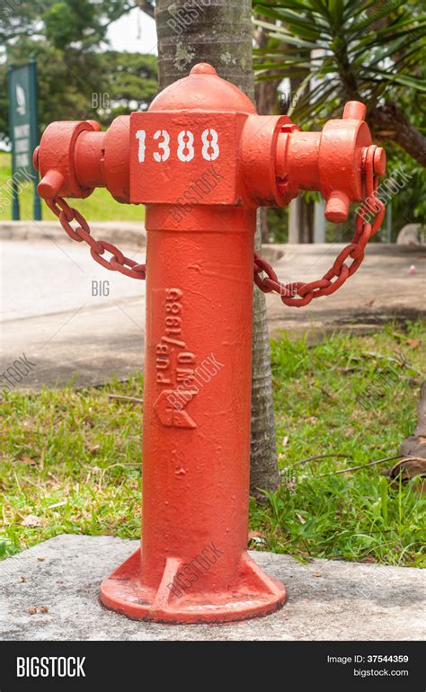 Fire Hydrant - Water Image & Photo (Free Trial) | Bigstock