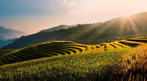 Vietnamese overlanding holidays rice paddies Pixabay royalty free image