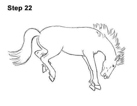 How to Draw a Horse (Bucking) VIDEO & Step-by-Step Pictures