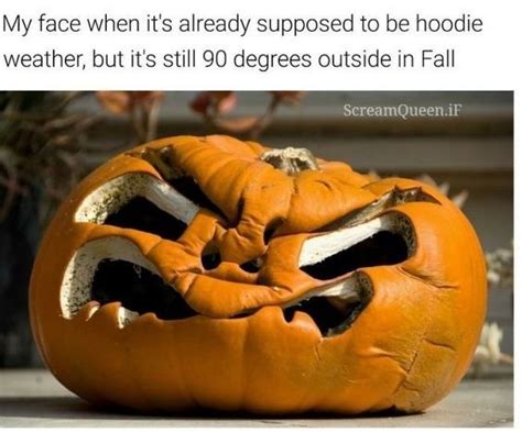 💯! Happy Tuesday everyone! | Funny halloween memes, Fall memes ...