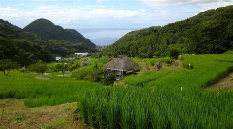 Visit Matsuzaki: 2024 Travel Guide for Matsuzaki, Shizuoka Prefecture ...