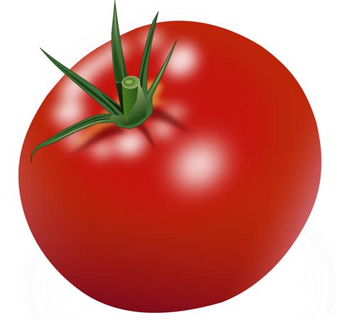 Red Tomatoes PNG Image - PurePNG | Free transparent CC0 PNG Image ...