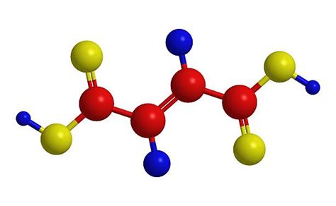 Molecular structure of fumaric acid - trans butenedioic acid - Fumaric Acid