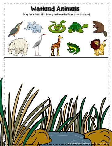 Wetland Animals Google App Worksheets