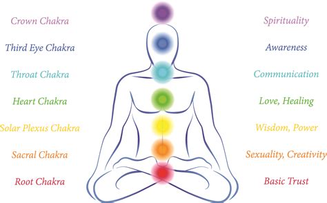 Chakra Health: How Energy Center Imbalances Affect Your Body Health - | Chakra, Plexus products ...