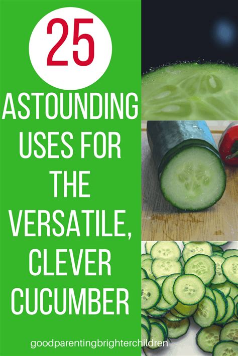 25 Unique and Surprising Benefits of Cucumbers That Will Improve Your ...